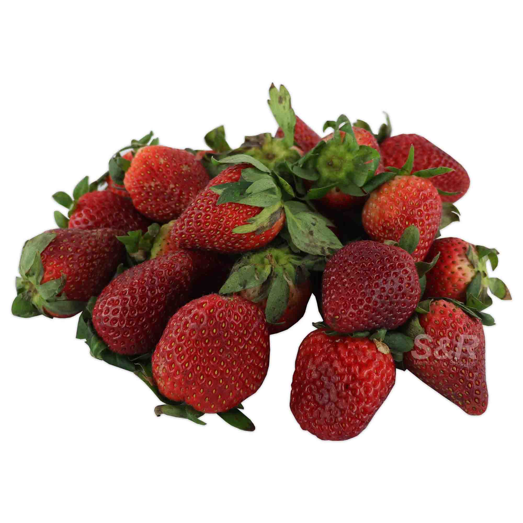 S&R Baguio Strawberries approx. 600g S&R Baguio Strawberries approx. 600g
